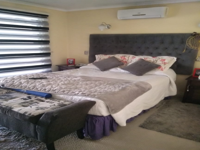 WhatsApp Image 2019-02-21 at 21.06.15.jpeg